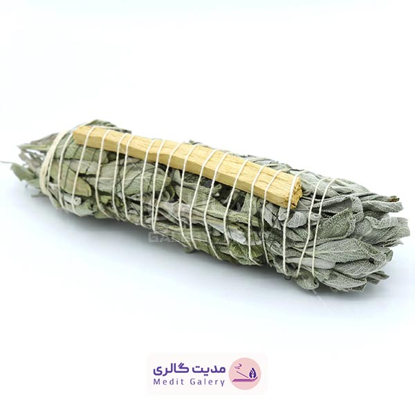 قیمت خرید اسماج مریم گلی کالیفرنیا و خواص و مشخصات آن